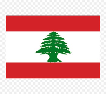 Flag of Lebanon Flag of the United Arab Emirates Lapel pin - Flag 