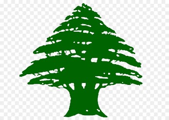 Flag of Lebanon Phoenicia Cedrus libani Mount Lebanon - fir-tree 