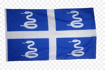Flag of Martinique Flags of the World National flag - flag hanging 