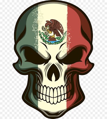 Flag of Mexico Calavera Skull Decal - Mexican Skull Photos 
