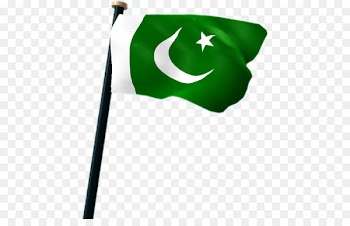 Flag of Pakistan Icomania Guess The Icon Quiz National flag - Flag 