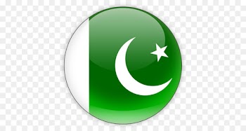 Flag of Pakistan Independence Day Green Flag School - pakistan 
