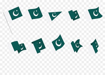 Flag of Pakistan Islamic flags - Islamic flag 