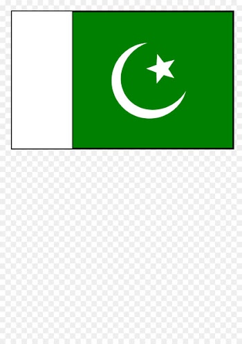 Flag of Pakistan Pakistanis Clip art - pakistan flag 