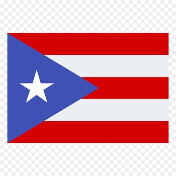 Flag of Puerto Rico Flag of the United States State flag - usa flag 