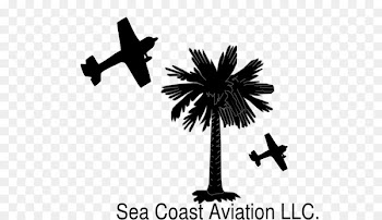 Flag of South Carolina Sabal Palm Palm trees Crescent - baltic sea coast 