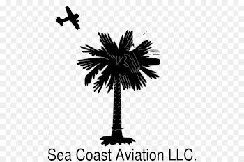 Flag of South Carolina Sabal Palm Palm trees Crescent - north sea coast 