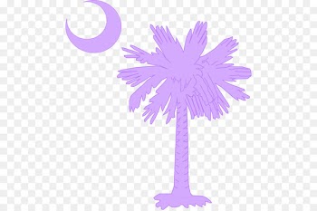 Flag of South Carolina Sabal Palm Palm trees Crescent - purple moon melon 