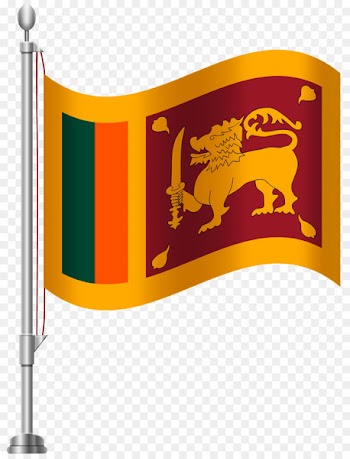 Flag of Sri Lanka National flag Clip art - china flag 