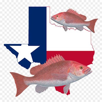 Flag of Texas Blank map Clip art - map 