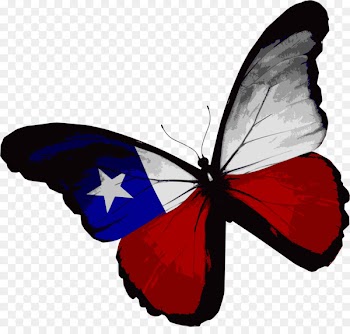 Flag of Texas Butterfly Flag of the United States - American Butterfly 