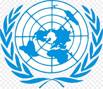 Flag of the United Nations United Nations Security Council United Nations General Assembly United Nations Development Programme - International 