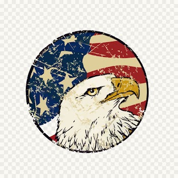 Flag of the United States Bald Eagle - Hand-painted American flag eagle decorative background 