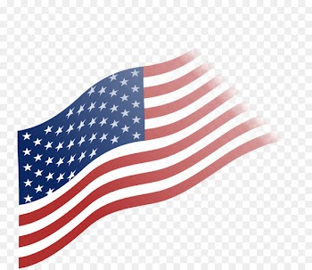 Flag of the United States Coney Island Flag Day Stock photography - flag 