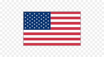 Flag of the United States Flagpole Annin & Co. - united states 