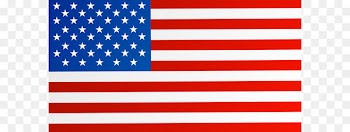 Flag of the United States National flag Flag of Vietnam - USA Flag PNG Clipart Image 