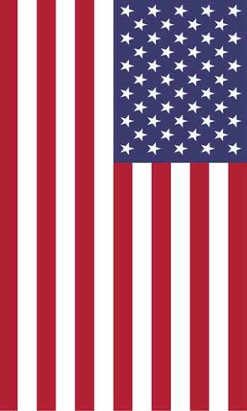 Flag of the United States T-shirt Independence Day - usa gerb 
