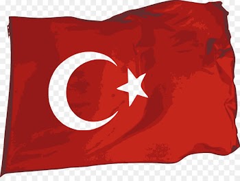 Flag of Turkey Assassination of Andrei Karlov - turkish flag 