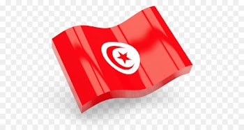 Flag of Turkey Flag of Bosnia and Herzegovina Flag of Romania Flag of Canada - Flag 