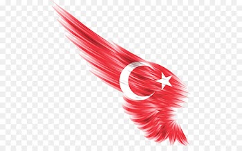 Flag of Turkey Flag of Jordan Flag of Cyprus Flag of Kuwait - demo 