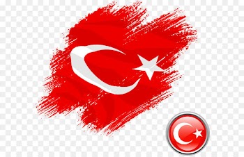 Flag of Turkey - Vector Turkish Flag 
