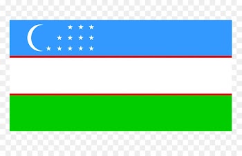 Flag of Uzbekistan Kazakhstan Turkmenistan National flag - stripe checkered flag 