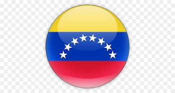 Flag of Venezuela Venezuela women's national volleyball team Computer Icons - bandera de venezuela 