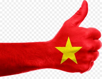 Flag of Vietnam Vietnamese Flag of South Vietnam - Flag 
