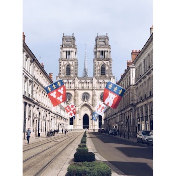 Flags on Cathedral