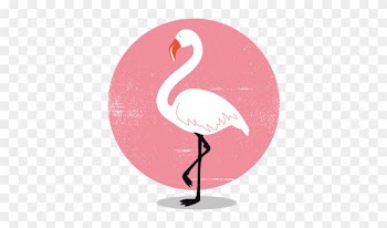 Flamant Rose Fond Transparent