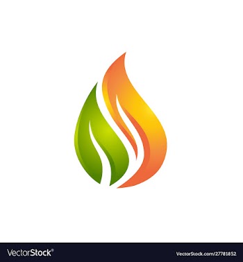 Flame and leaf logo vector image