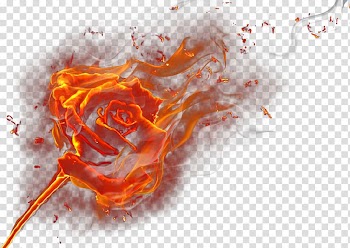 Flame effect transparent background PNG clipart