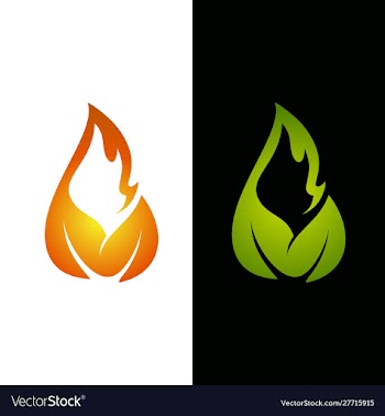 Flame leaf logo template vector image