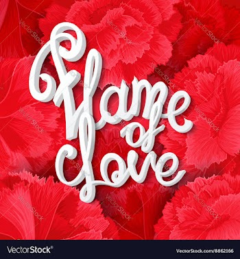 Flame of love vector image