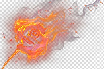 Flame Rose transparent background PNG clipart