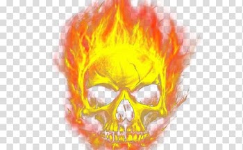 Flame skull transparent background PNG clipart
