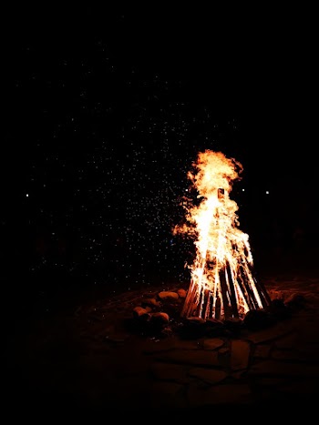 Flaming Woods