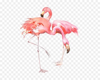 Flamingo AllPosters.com Printing Painting Printmaking - Drawing Flamingos 