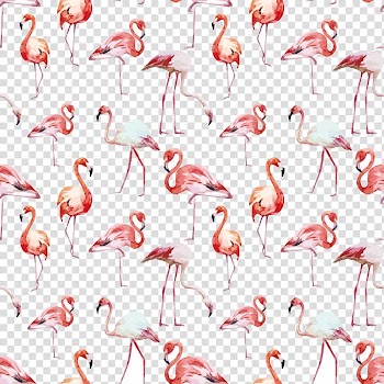 Flamingo artwork, Flamingo Bird , Watercolor seamless background flamingo transparent background PNG clipart
