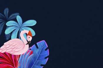 Flamingo background, black design, animal | Free Photo Illustration - rawpixel