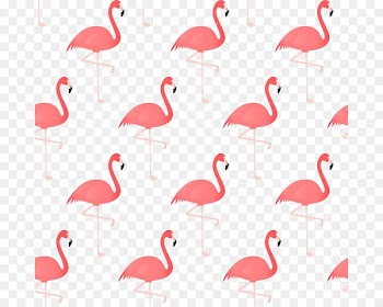 Flamingo Bird Drawing - Flamingos 