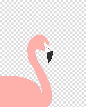 Flamingo Bird, Flamingos transparent background PNG clipart