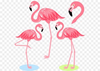 Flamingo Bird Illustration - Cartoon Flamingo 