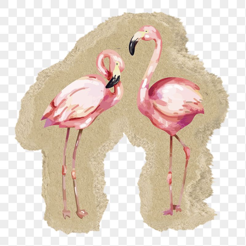 Flamingo birds png sticker, ripped | Free PNG Illustration - rawpixel
