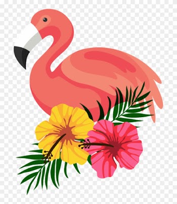 Flamingo By Hanjorafael - Flamingo Png