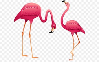 Flamingo Clip art - flamingo 
