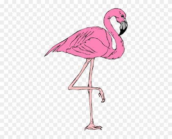 Flamingo Clipart - Le Flamant Rose Dessin