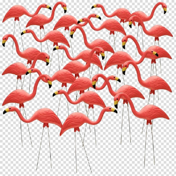 Flamingo Download PNG Image