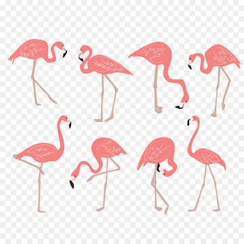 Flamingo Drawing Clip art - Vector pink flamingo 