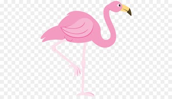 Flamingo Free Clip art - flamingos 